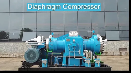Sollant Gas Compressor CO2 Carbon Monoxide Compressor High Pressure Compressor Manufacturer Diaphragm Gas Compressor